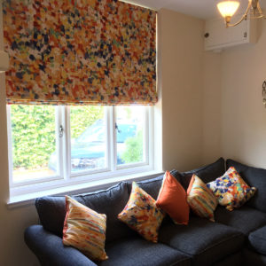 Blinds by Window Design