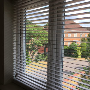 Blinds by Window Design